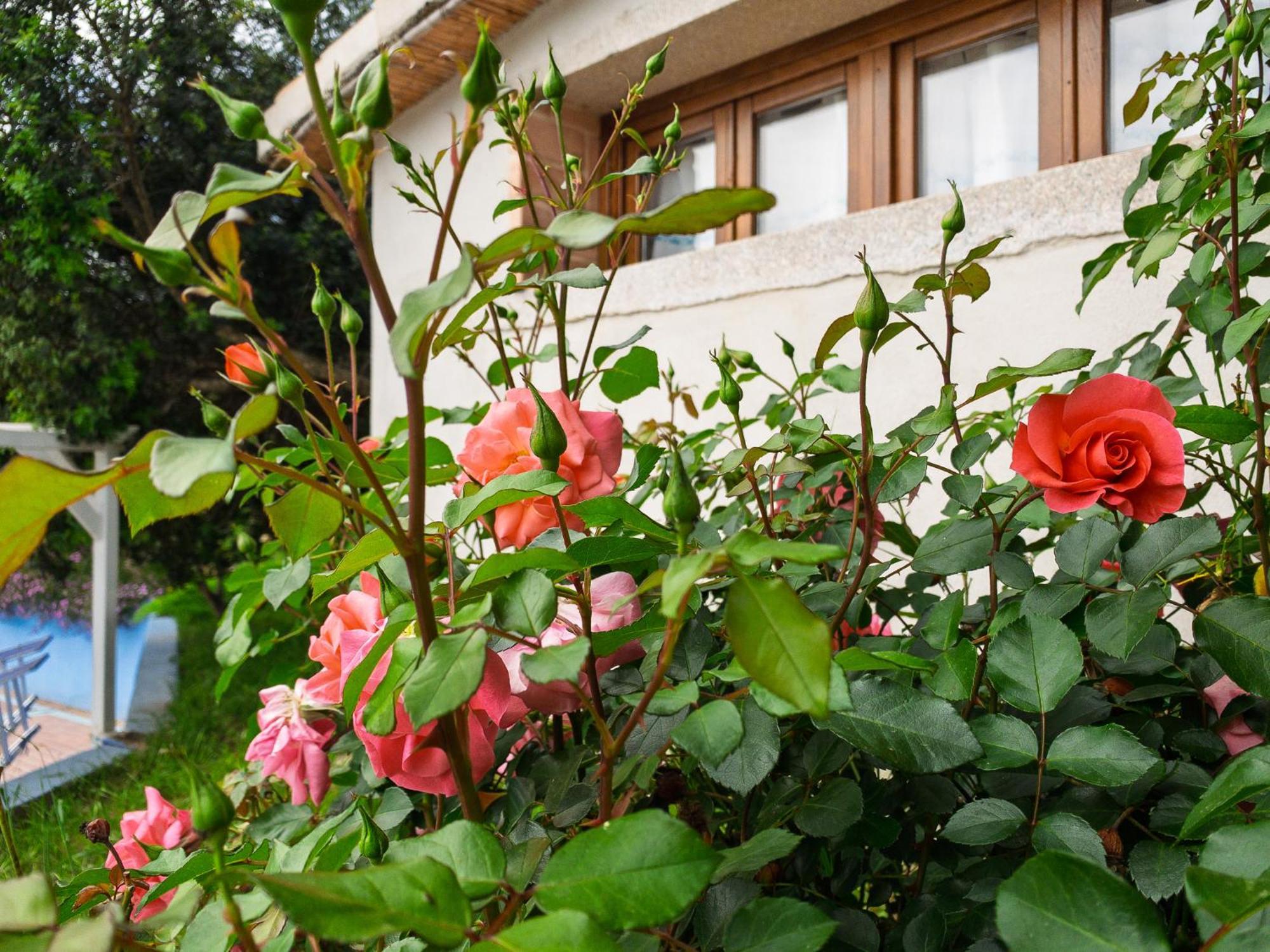 Agriturismo Guparza بوسادا المظهر الخارجي الصورة