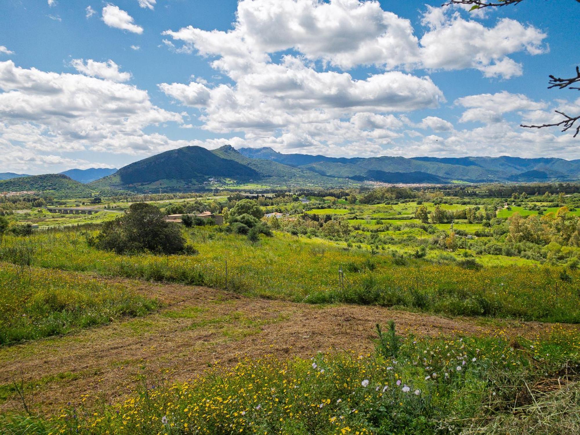 Agriturismo Guparza بوسادا المظهر الخارجي الصورة