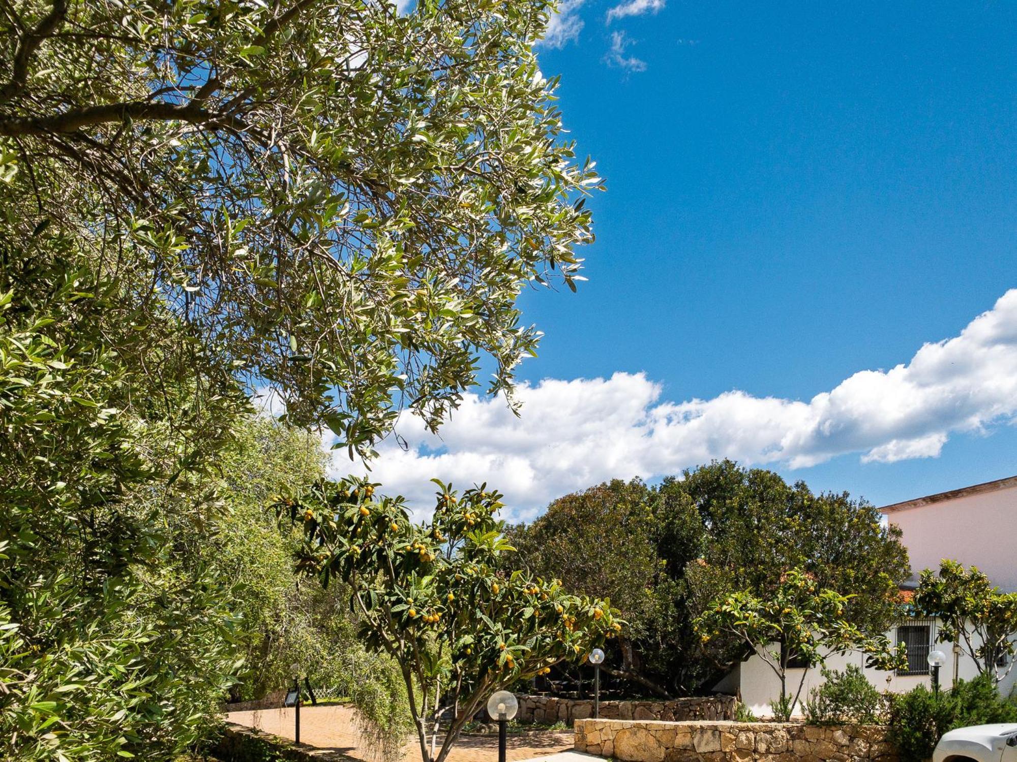 Agriturismo Guparza بوسادا المظهر الخارجي الصورة