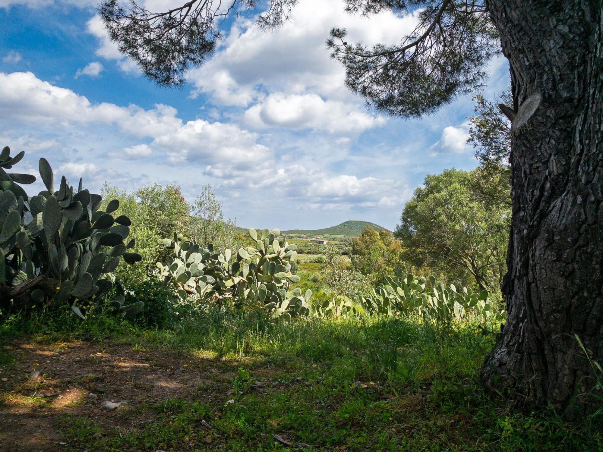 Agriturismo Guparza بوسادا المظهر الخارجي الصورة