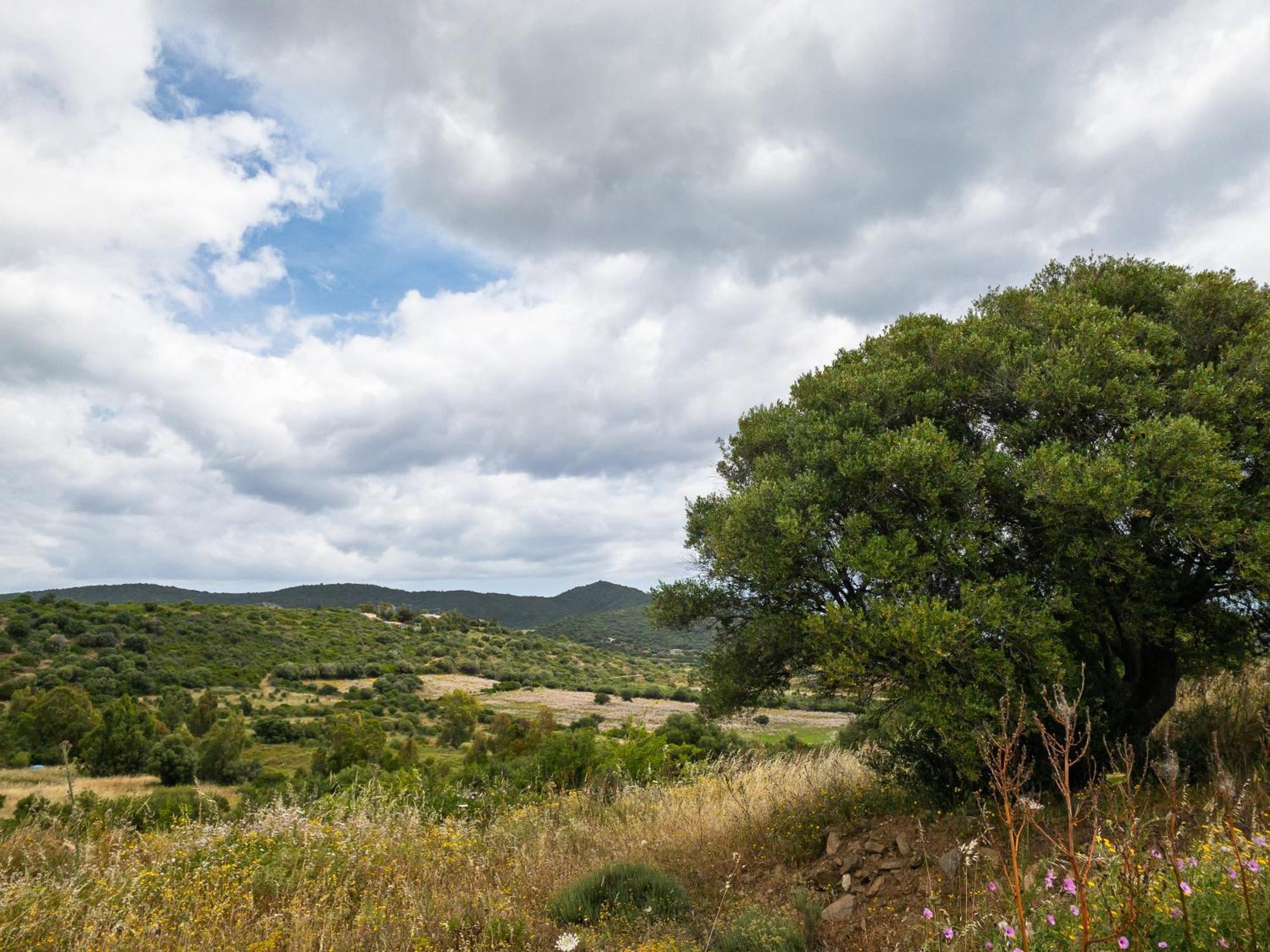 Agriturismo Guparza بوسادا المظهر الخارجي الصورة